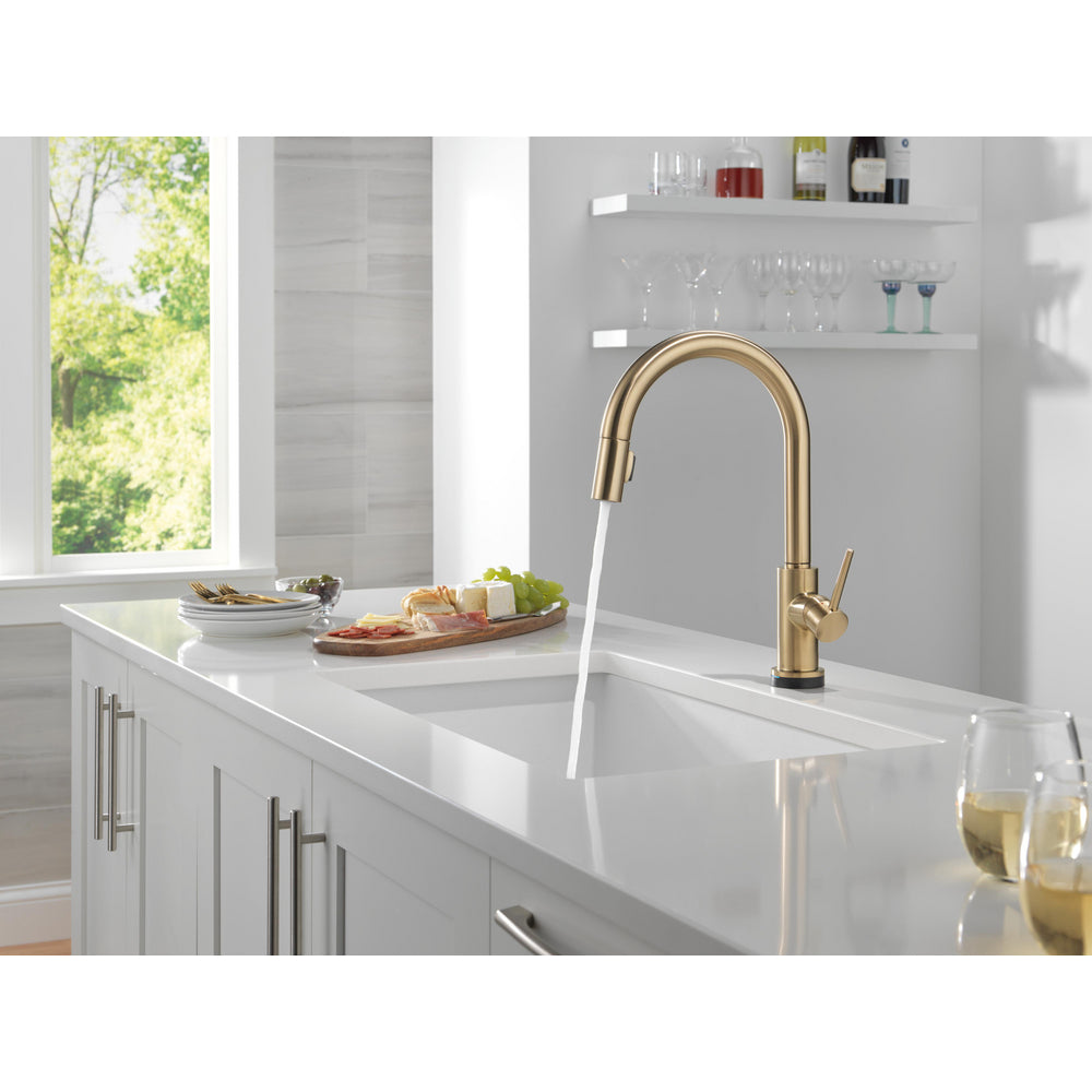 Delta Trinsic VoiceIQ Kitchen Faucet with Touch2O Technology with Touchless Technology - 9159TLV