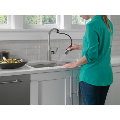 Delta Stryke Single Handle Pull-Down Kitchen Faucet - 9176