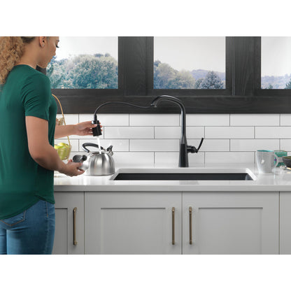 Delta Stryke Single Handle Pull-Down Kitchen Faucet - 9176