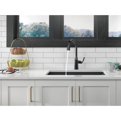 Delta Stryke Single Handle Pull-Down Kitchen Faucet - 9176