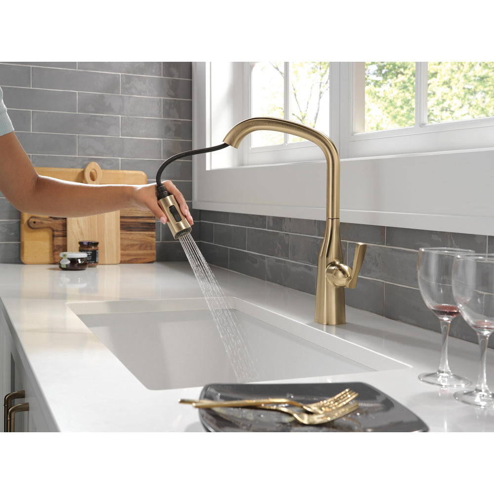 Delta Stryke Single Handle Pull-Down Kitchen Faucet - 9176