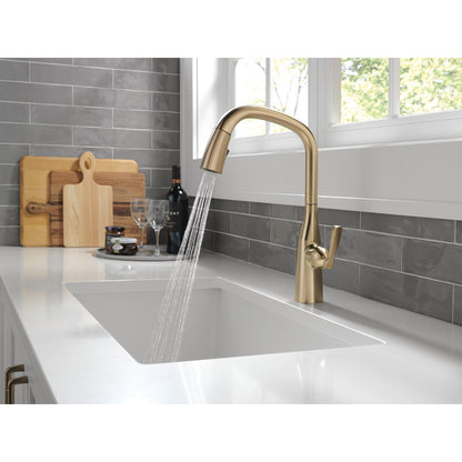 Delta Stryke Single Handle Pull-Down Kitchen Faucet - 9176