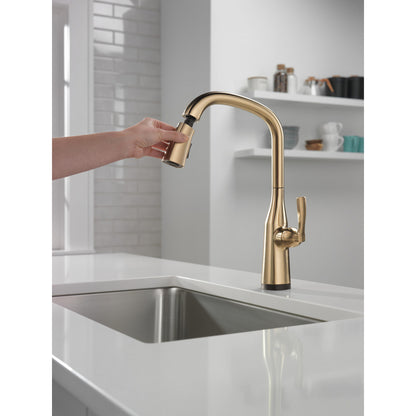 Delta Stryke Single Handle Pull-Down Kitchen Faucet with Touch2O Technology - 9176T