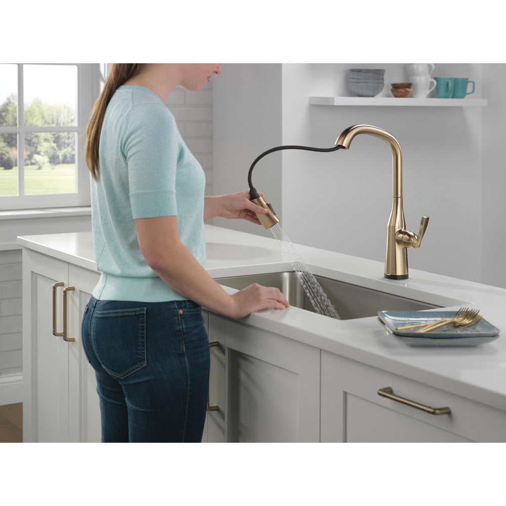 Delta Stryke Single Handle Pull-Down Kitchen Faucet with Touch2O Technology - 9176T