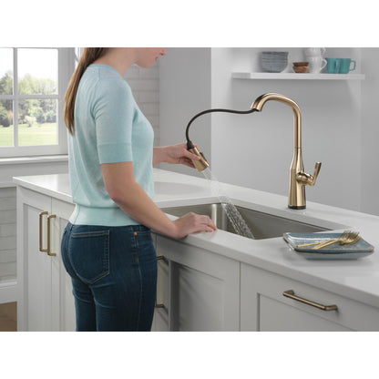 Delta Stryke Single Handle Pull-Down Kitchen Faucet with Touch2O Technology - 9176T