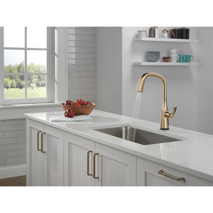 Delta Stryke Single Handle Pull-Down Kitchen Faucet with Touch2O Technology - 9176T