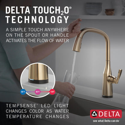 Delta Stryke Single Handle Pull-Down Kitchen Faucet with Touch2O Technology - 9176T