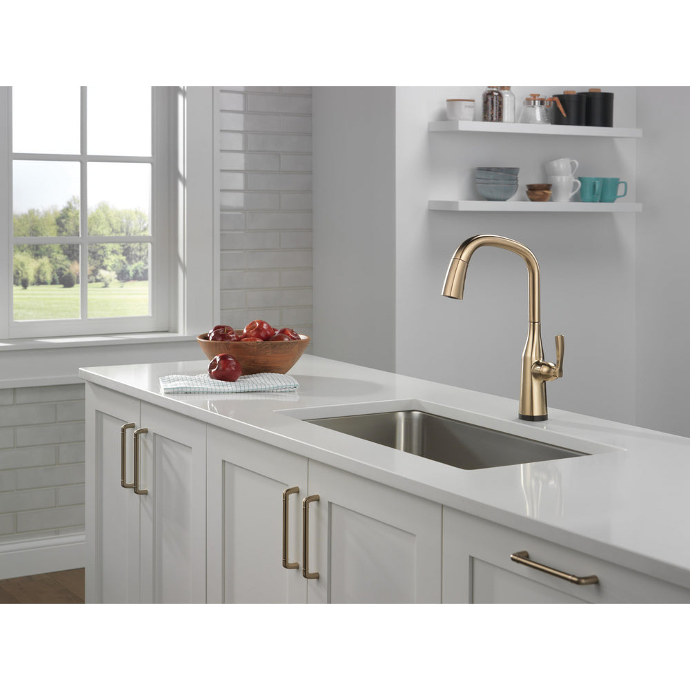 Delta Stryke Single Handle Pull-Down Kitchen Faucet with Touch2O Technology - 9176T