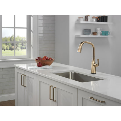 Delta Stryke Single Handle Pull-Down Kitchen Faucet with Touch2O Technology - 9176T