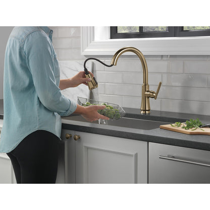 Delta Coranto Single Handle Pull-Down Kitchen Faucet - 9179