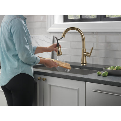 Delta Coranto Single Handle Pull-Down Kitchen Faucet - 9179