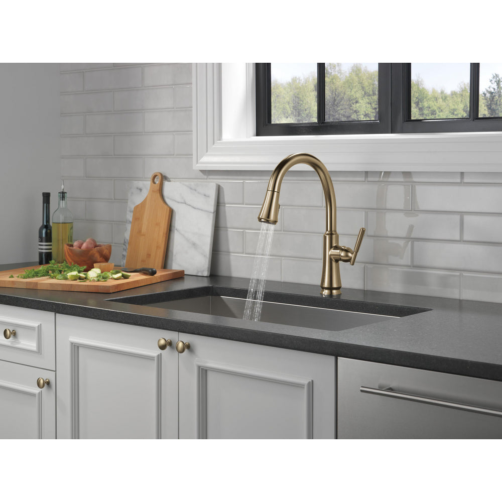 Delta Coranto Single Handle Pull-Down Kitchen Faucet - 9179