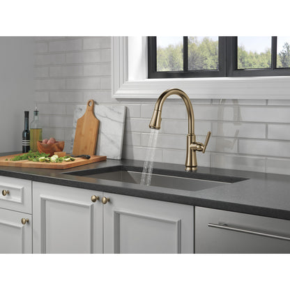 Delta Coranto Single Handle Pull-Down Kitchen Faucet - 9179