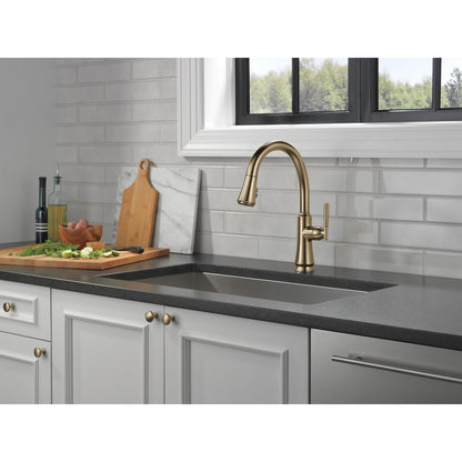 Delta Coranto Single Handle Pull-Down Kitchen Faucet - 9179