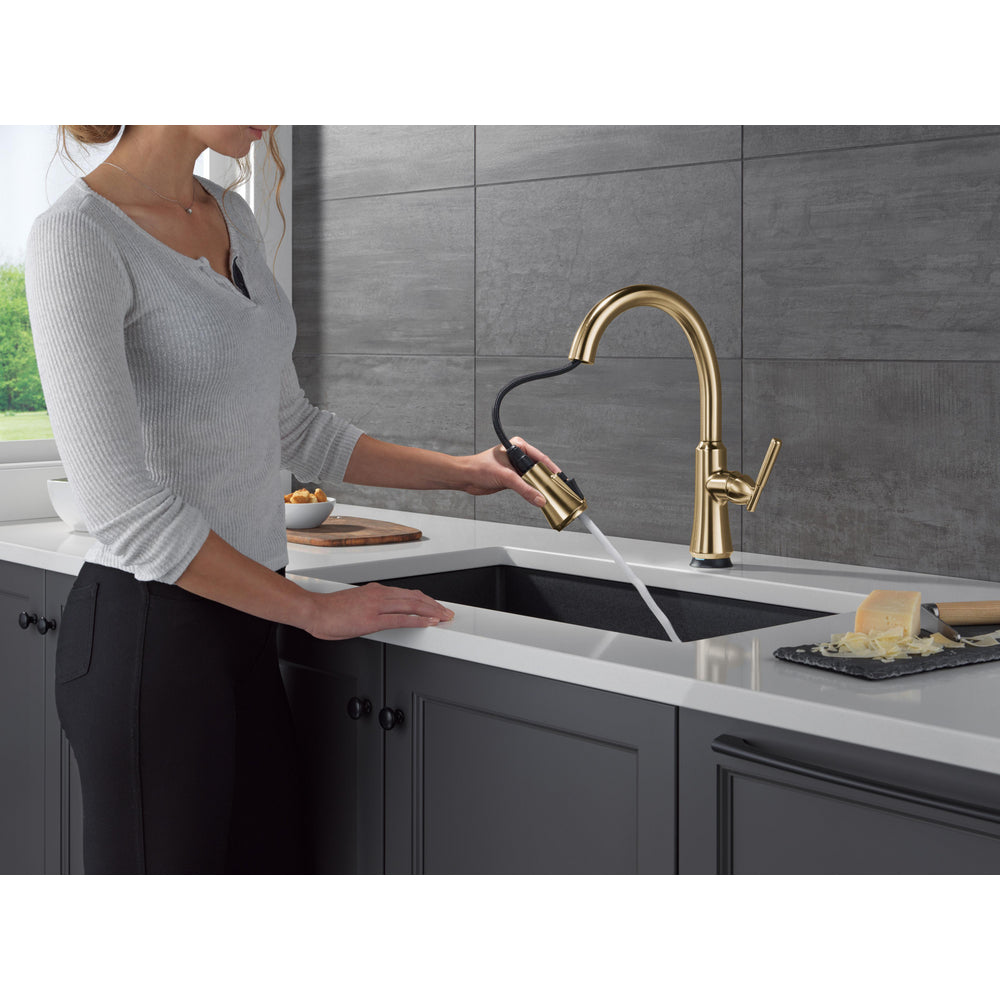 Delta Coranto Touch2O Technology Kitchen Faucet with Touchless Technology - 9179TL
