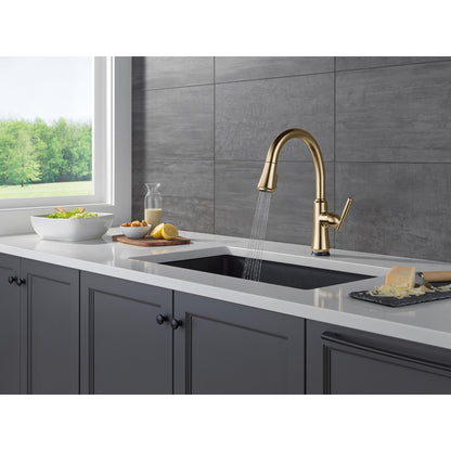 Delta Coranto Touch2O Technology Kitchen Faucet with Touchless Technology - 9179TL