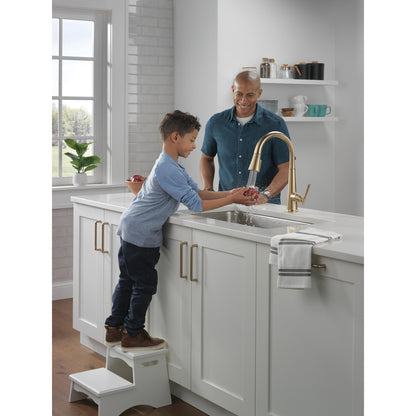 Delta Emmeline Single Handle Pull-Down Kitchen Faucet - 9182