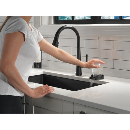 Delta Emmeline Single Handle Pull-Down Kitchen Faucet with Touch2O Technology - 9182T