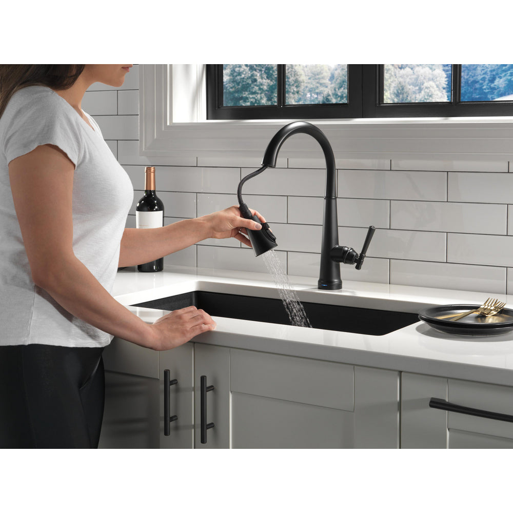 Delta Emmeline Single Handle Pull-Down Kitchen Faucet with Touch2O Technology - 9182T