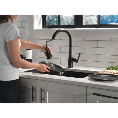 Delta Emmeline Single Handle Pull-Down Kitchen Faucet with Touch2O Technology - 9182T
