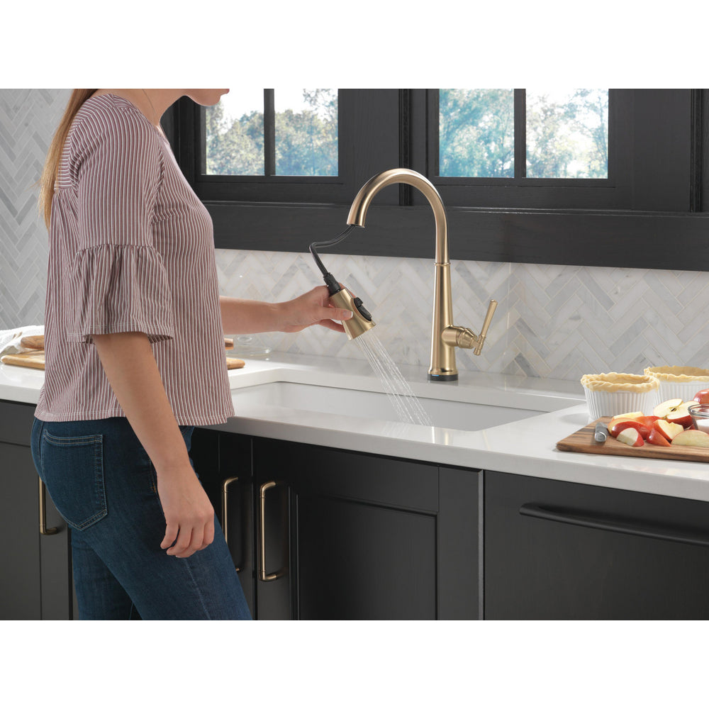 Delta Emmeline Single Handle Pull-Down Kitchen Faucet with Touch2O Technology - 9182T