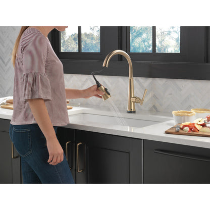 Delta Emmeline Single Handle Pull-Down Kitchen Faucet with Touch2O Technology - 9182T