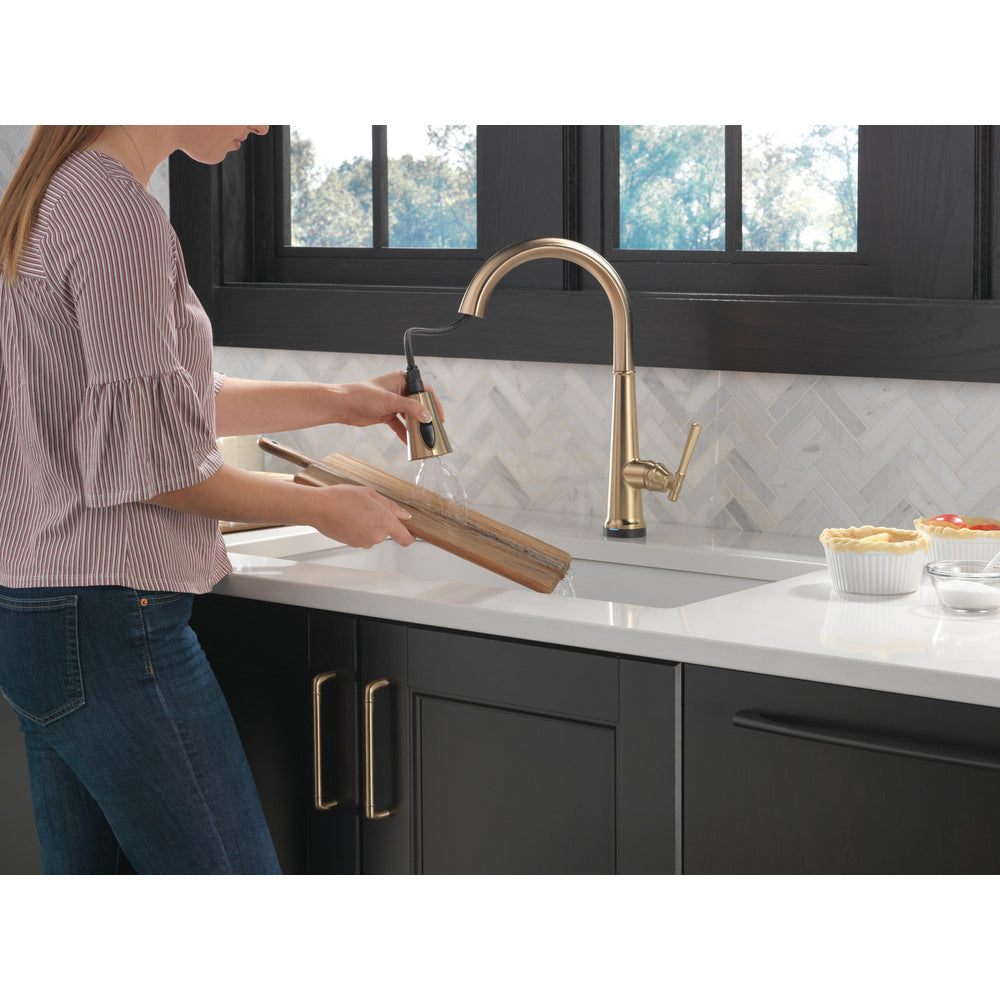 Delta Emmeline Single Handle Pull-Down Kitchen Faucet with Touch2O Technology - 9182T