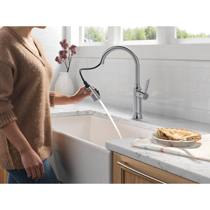 Delta Renaldi Single Handle Pull-Down Kitchen Faucet - 9184