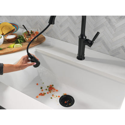 Delta Renaldi Single Handle Pull-Down Kitchen Faucet - 9184