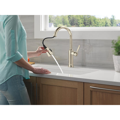 Delta Renaldi Single Handle Pull-Down Kitchen Faucet - 9184