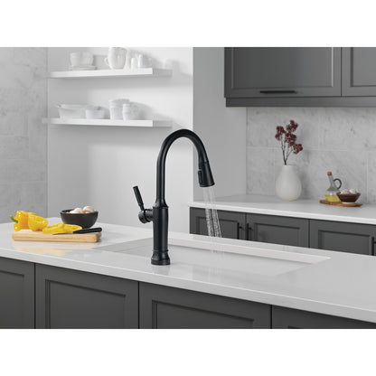 Delta Renaldi Touch2O Kitchen Faucet with Touchless Technology - 9184TL