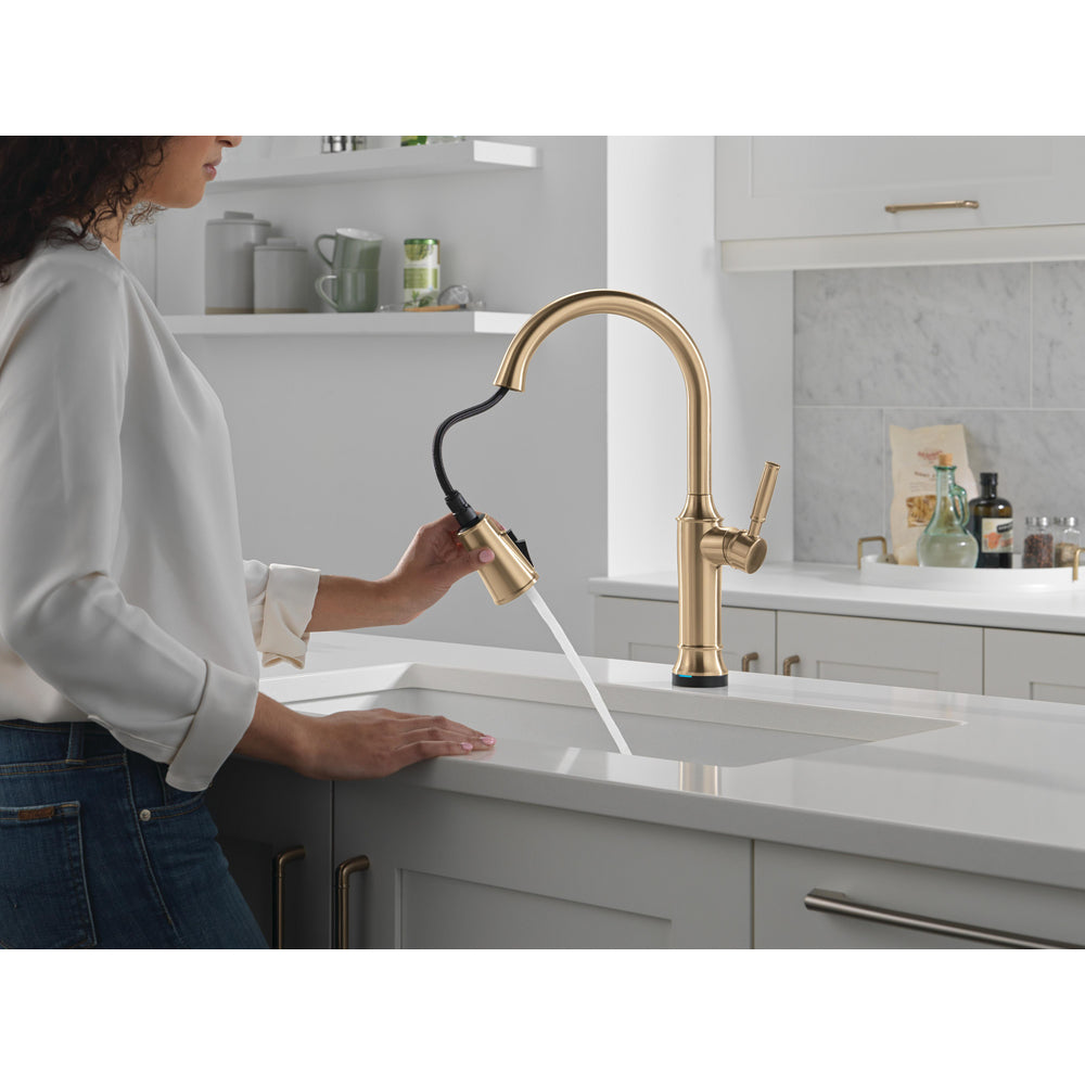Delta Renaldi Touch2O Kitchen Faucet with Touchless Technology - 9184TL