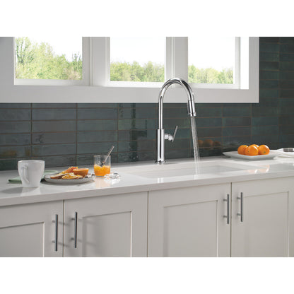 Delta Altado Pulldown Kitchen Faucet - 9186-DST