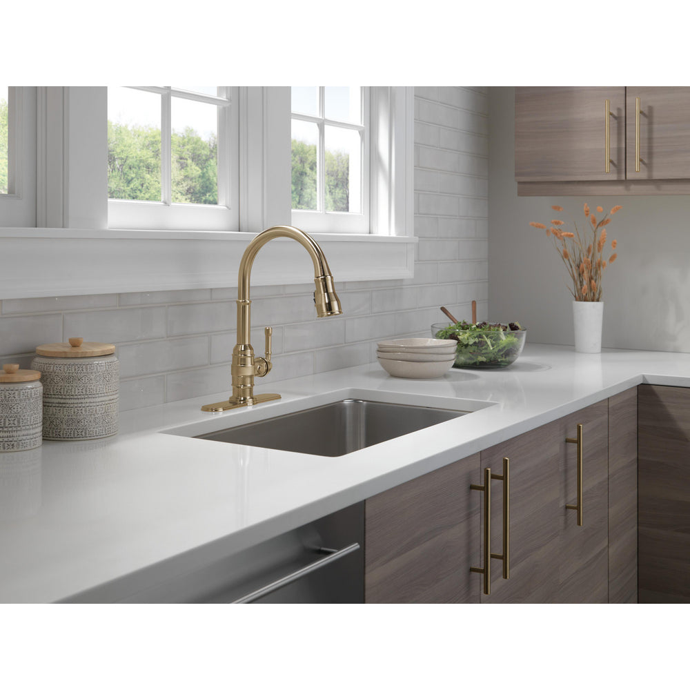Delta Broderick Single Handle Pull-Down Kitchen Faucet - 9190