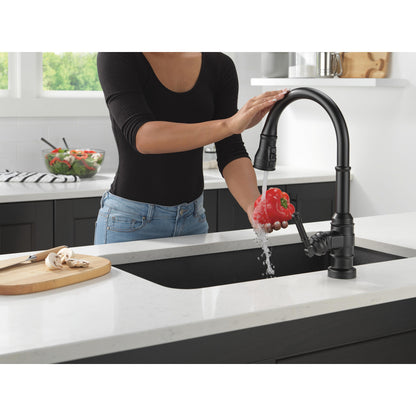 Delta Broderick Single Handle Pull-Down Kitchen Faucet With Touch2O Technology - 9190T