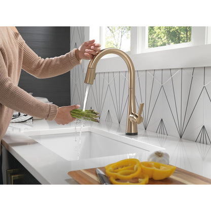 Delta Monrovia Single Handle Pull-Down Kitchen Faucet With Touch2O Technology - 9191T