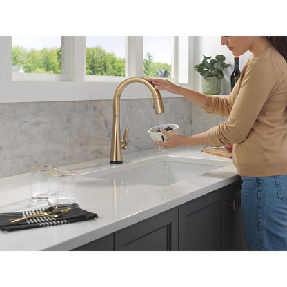 Delta Monrovia Pulldown Touchless Kitchen Faucet – 9191TL