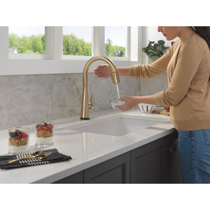 Delta Monrovia Pulldown Touchless Kitchen Faucet – 9191TL