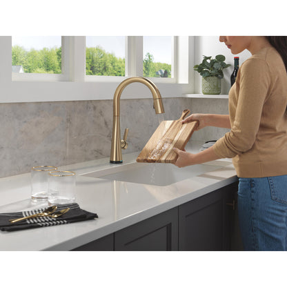 Delta Monrovia Pulldown Touchless Kitchen Faucet – 9191TL