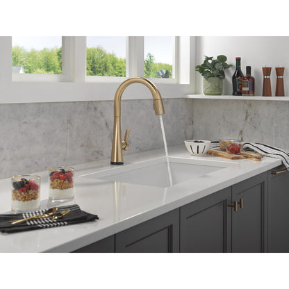 Delta Monrovia Pulldown Touchless Kitchen Faucet – 9191TL