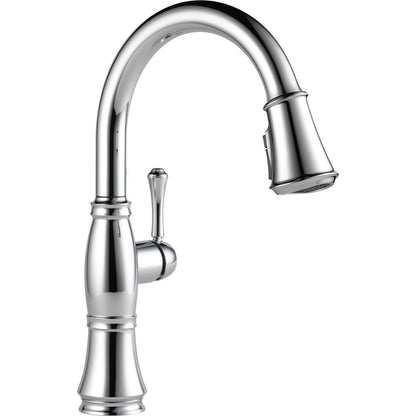 Delta Cassidy Single Handle Pull-Down Kitchen Faucet with ShieldSpray Technology - 9197