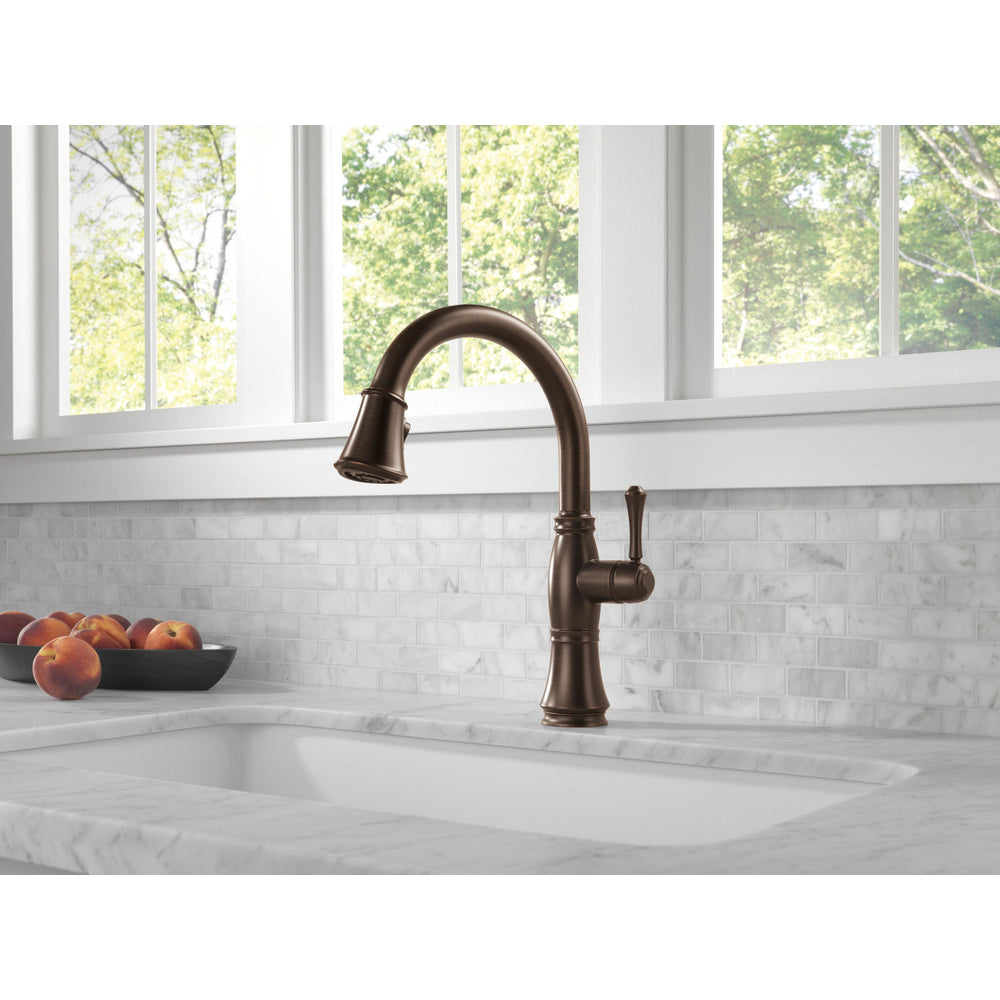 Delta Cassidy Single Handle Pull-Down Kitchen Faucet with ShieldSpray Technology - 9197