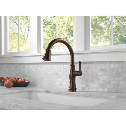 Delta Cassidy Single Handle Pull-Down Kitchen Faucet with ShieldSpray Technology - 9197