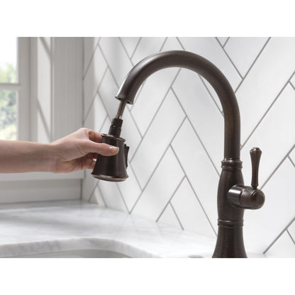 Delta Cassidy Single Handle Pull-Down Kitchen Faucet with ShieldSpray Technology - 9197