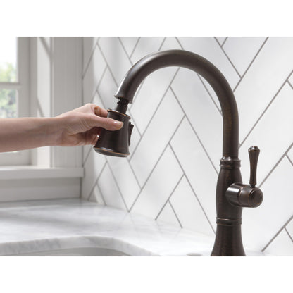 Delta Cassidy Single Handle Pull-Down Kitchen Faucet with ShieldSpray Technology - 9197