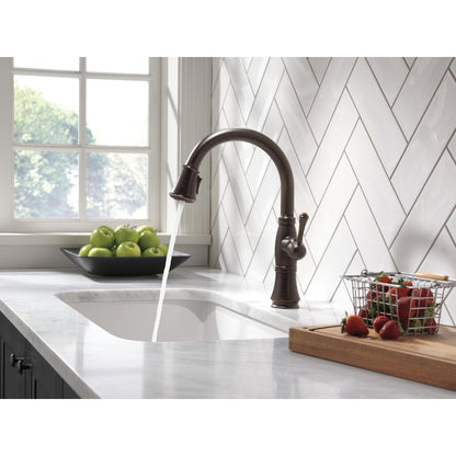 Delta Cassidy Single Handle Pull-Down Kitchen Faucet with ShieldSpray Technology - 9197