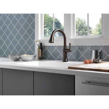 Delta Cassidy Single Handle Pull-Down Kitchen Faucet with Touch2O and ShieldSpray Technologies - 9197T