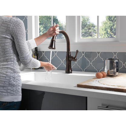 Delta Cassidy Single Handle Pull-Down Kitchen Faucet with Touch2O and ShieldSpray Technologies - 9197T