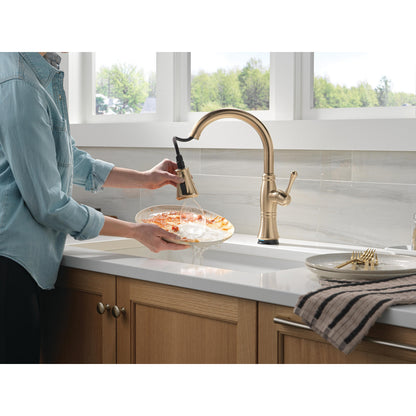 Delta Cassidy Touchless Kitchen Pulldown Faucet – 9197TL