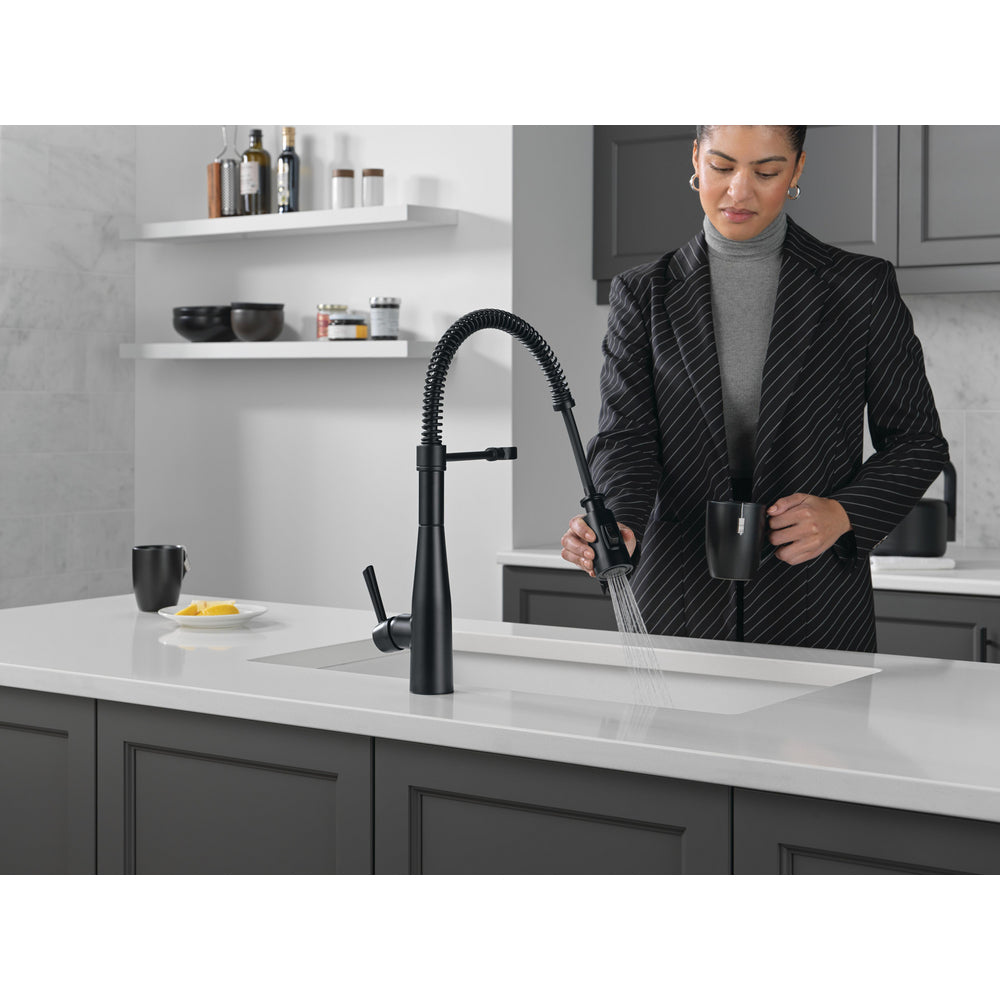 Delta Essa Single-Handle Pull-Down Spring Kitchen Faucet - 9613
